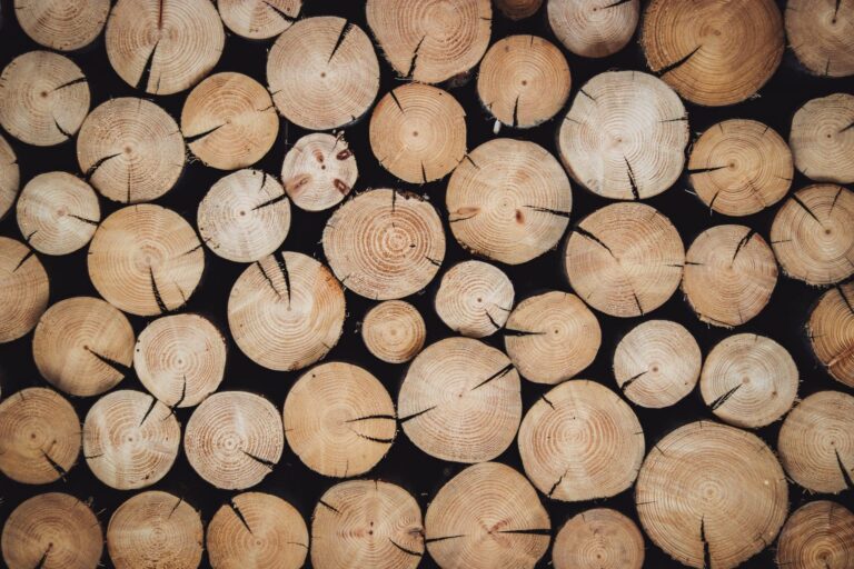 Сън за дърво | Значение и тълкуване