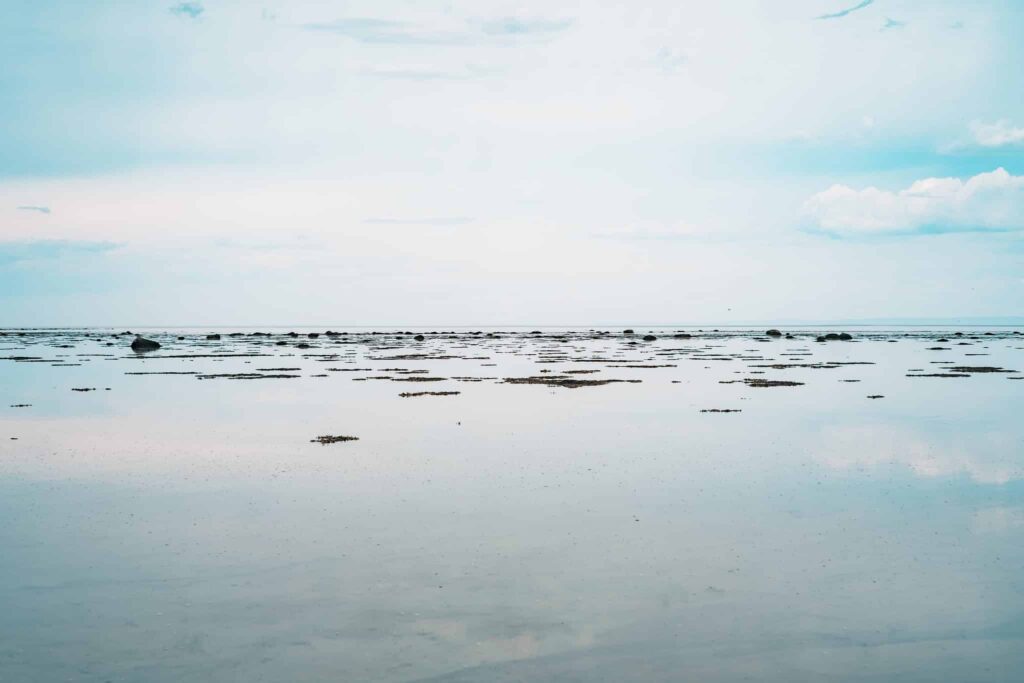 Mimpi tentang air surut | Arti dan makna mimpi