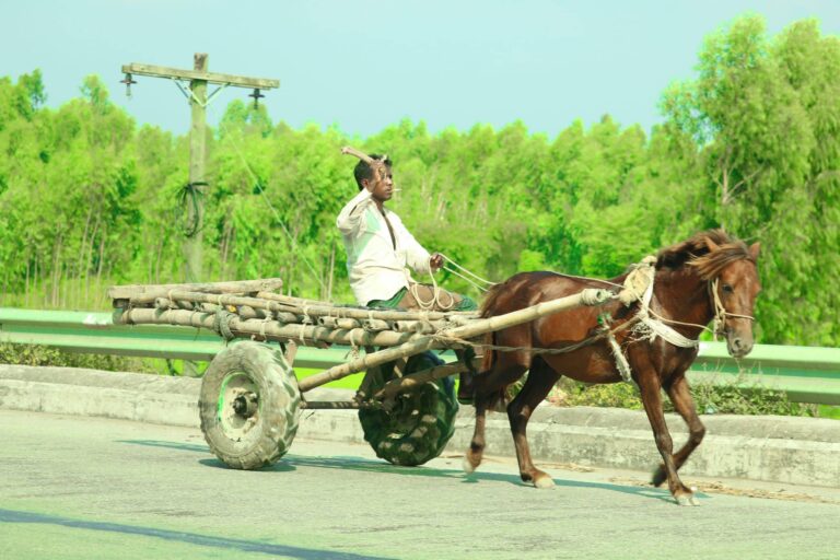 Mimpi tentang mobil 2 | Arti dan makna mimpi