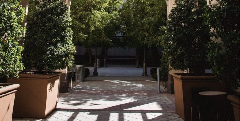 Mimpi tentang halaman | Arti dan makna mimpi