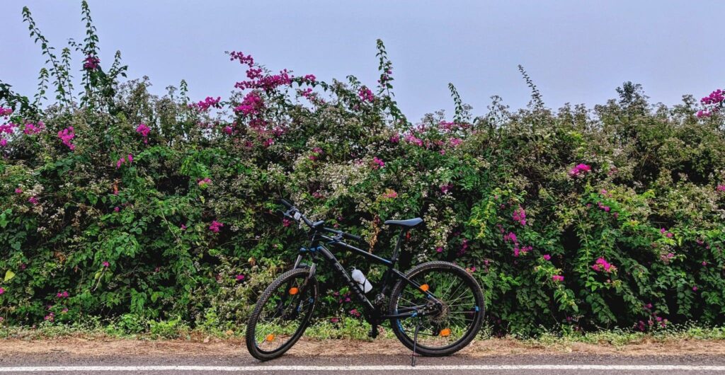 calilar rüyası | Rüya tabiri ve anlamı