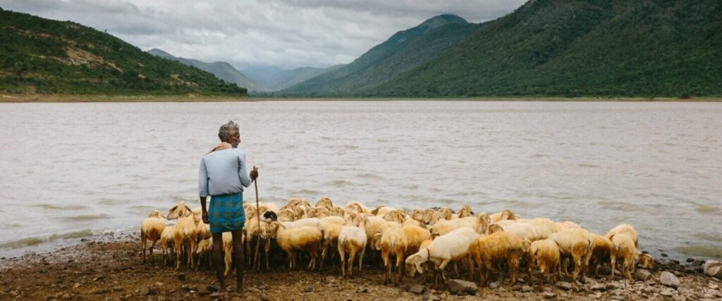 Mimpi tentang gembala | Arti dan makna mimpi