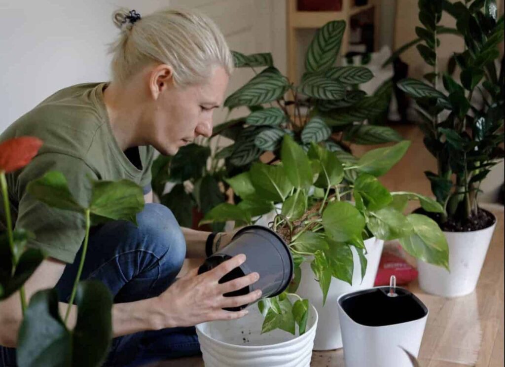 Mimpi tentang tugas | Arti dan makna mimpi