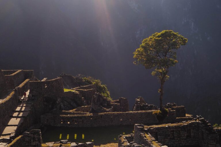 Сън за разруха | Значение и тълкуване