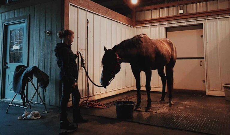 Сън за стабилен | Значение и тълкуване