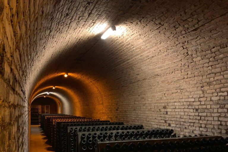 Mimpi tentang gudang anggur | Arti dan makna mimpi