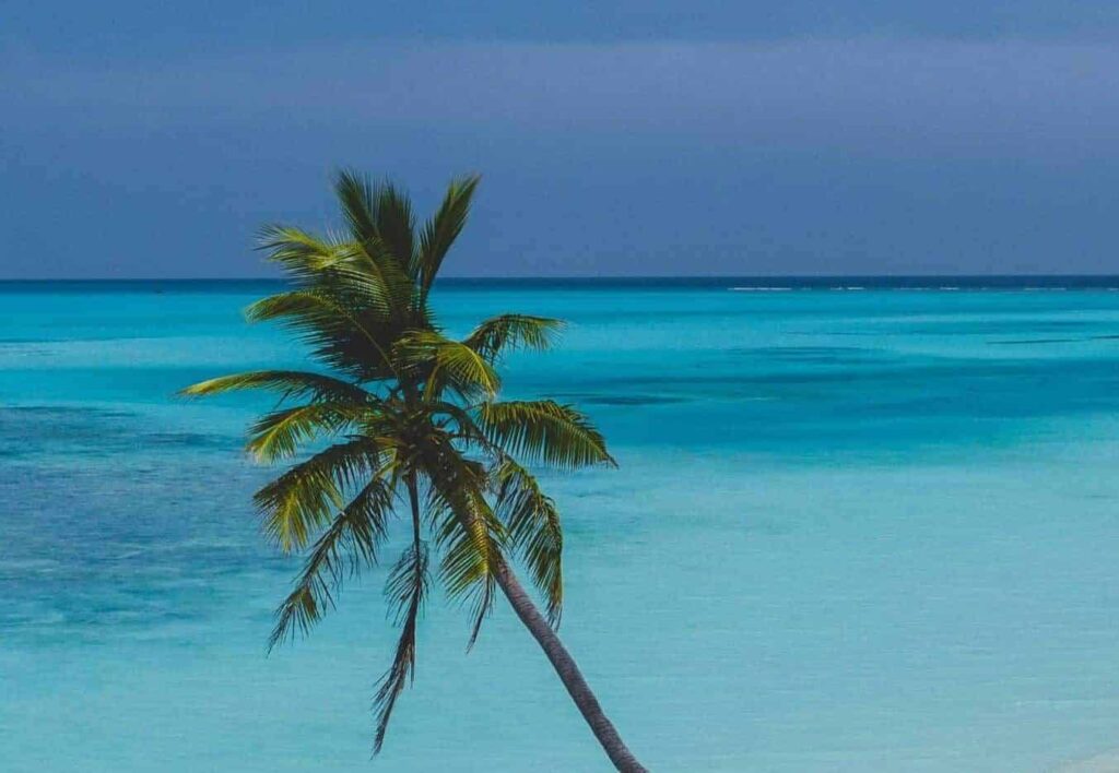 tropi̇kal ada rüyası | Rüya tabiri ve anlamı