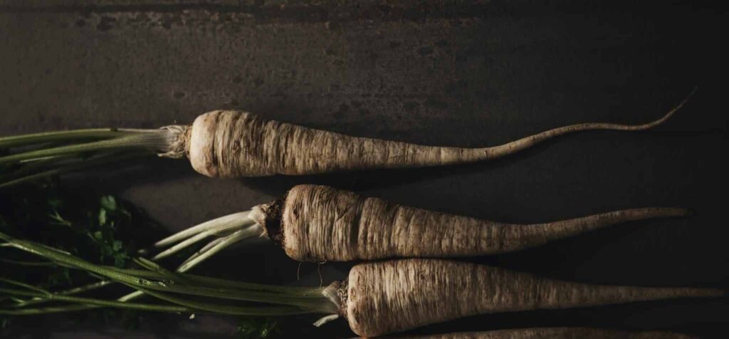 梦见西洋菜 | 梦的含义与解析