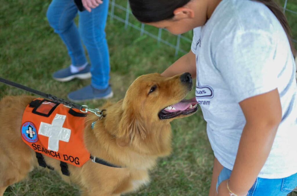 yardimci kopek rüyası | Rüya tabiri ve anlamı