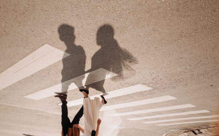 Сън за пресичане на зебра | Значение и тълкуване