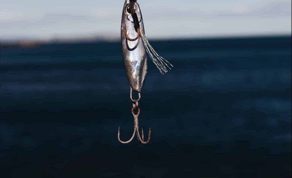 Сън за стръв | Значение и тълкуване